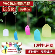 Flower And Grass Trees Waterproof PVC Recognize Raised Nameplate Tree Planting Festival School Kindergarten Art Logo Tether rope listing suit Dingding