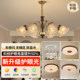 French Mid-Century Style Living Room Chandelier, American Retro Hall Main Light, 2026 New Model, Master Bedroom Dining Room Lily of the Valley Lighting Fixtures