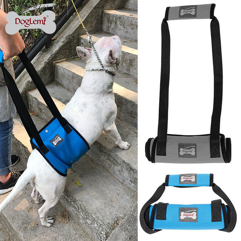 Dog hind legs physically and mentally handicapped auxiliary holding baby bag elderly dog ​​leg weakness injury help traction rope pets to walk upstairs