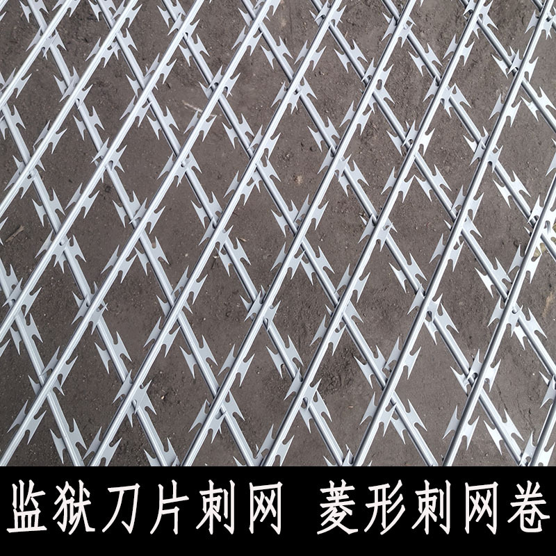 Prison Blade Barrier Galvanized Stainless Steel Diamond-Shaped Barbed Wire Roll Detention Center Patrol Channel Anti-Climb Isolation Net