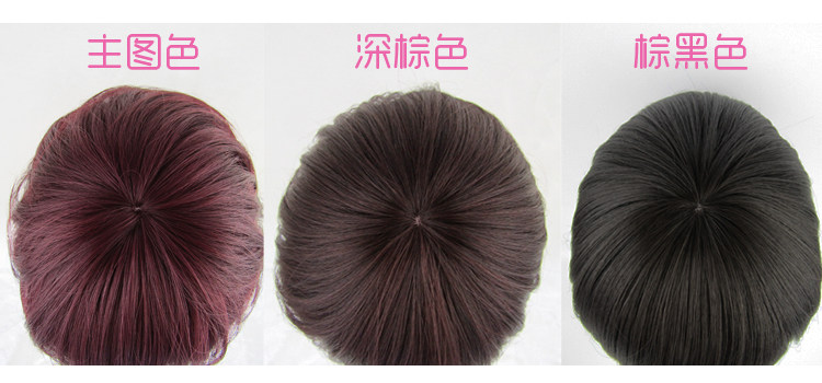 Perruque OTHER   cheveux courts - Ref 2609862 Image 9