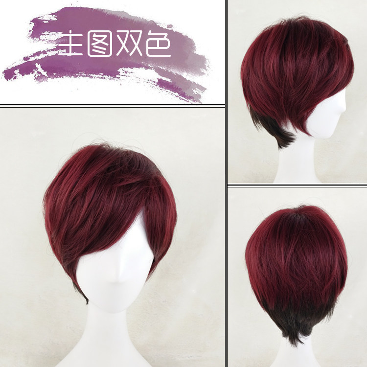 Perruque OTHER   cheveux courts - Ref 2609862 Image 6