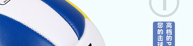Ballon de volley-ball - Ref 2011276 Image 13