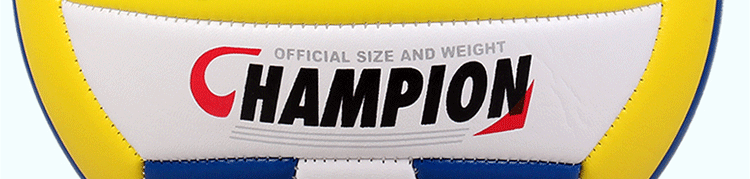 Ballon de volley-ball - Ref 2011276 Image 10