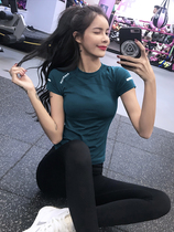 VALVOELITE fitness clothes new running speed dry T-shirt elastic tight fit sports blouses slim and thin yoga clothes