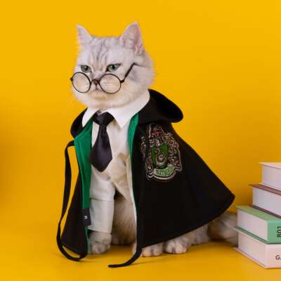 Harry Potter internet-famous cat clothes, pet capes, Magic School dog cloaks, small dog pet shawls