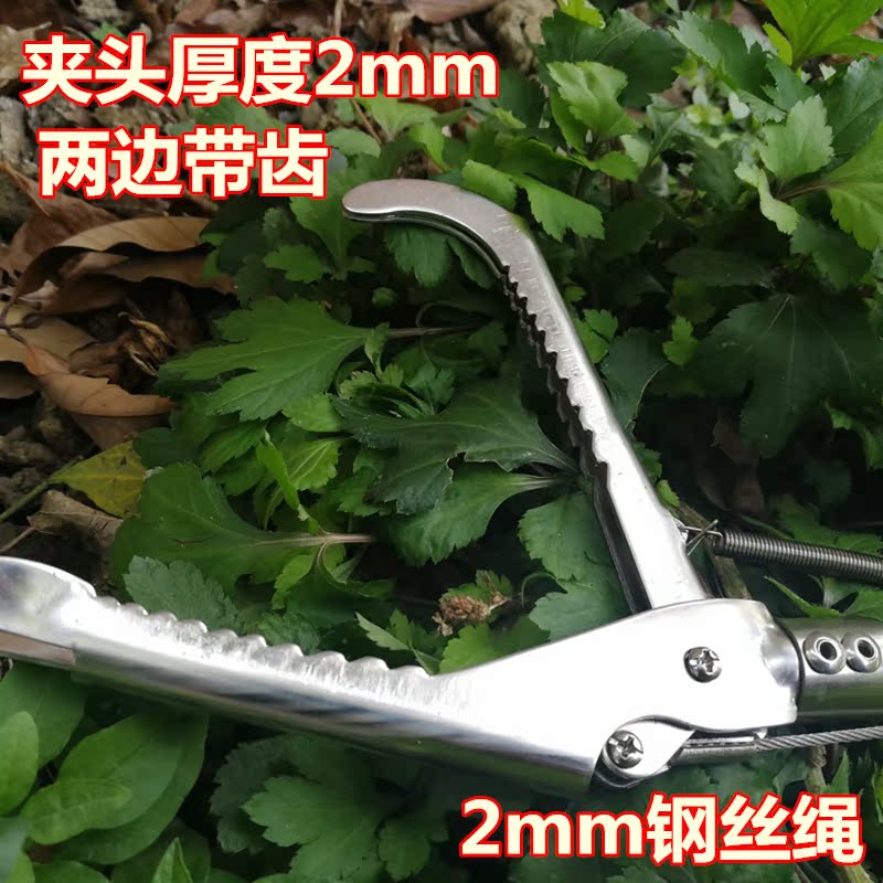 黄鳝捕捞工具：折叠蛇钩钳的革新与进化