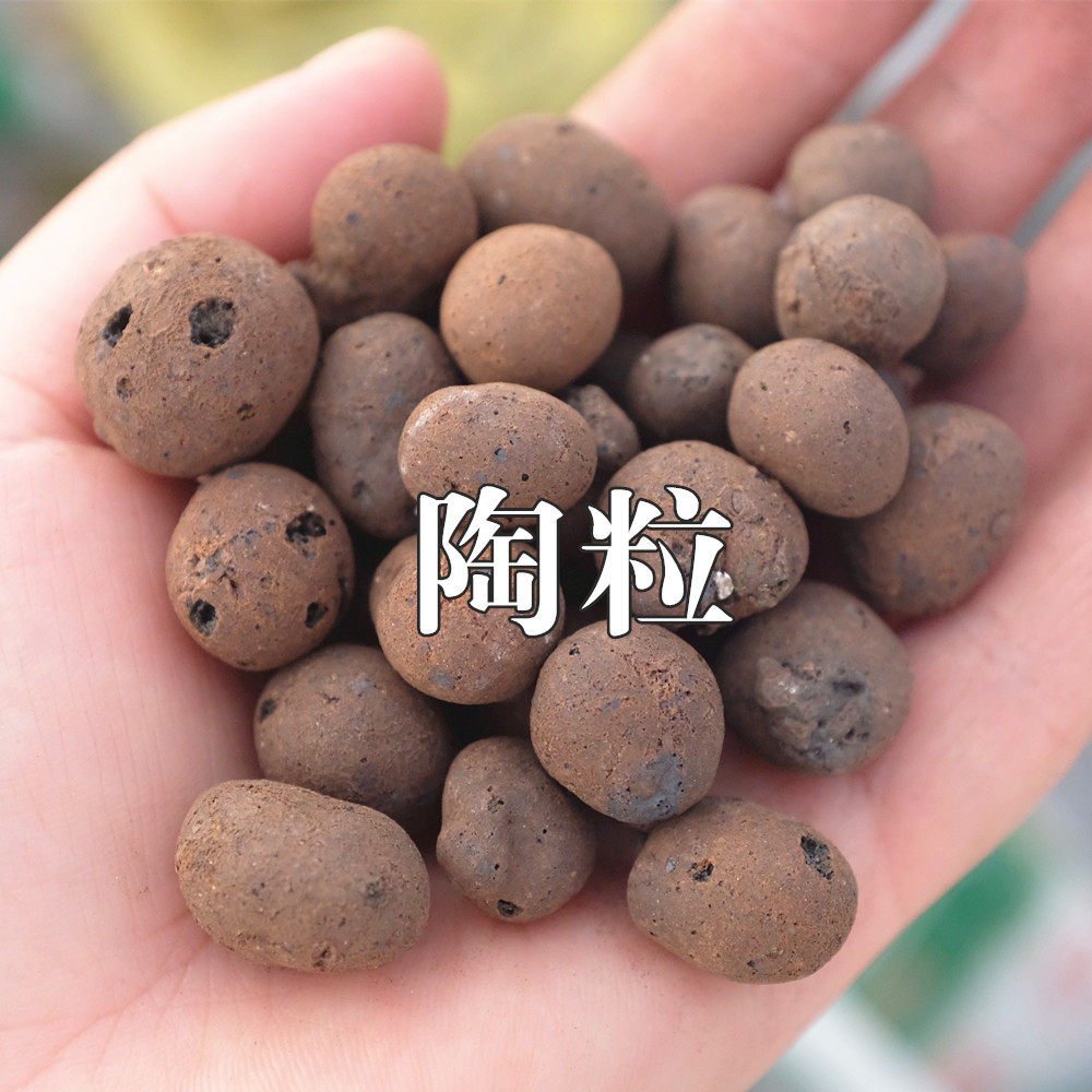 Flower - farming grains Hydroponic floral multi - flesh plant paved pot - pad pot - pot - pot - pot - pot grain grain ball