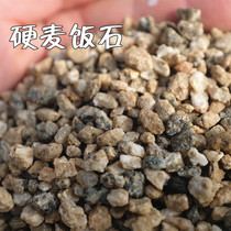 Hard wheat rice stone fleshy potted plant granular soil paving stone breathable drainage with soil mixing granular stone
