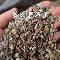 80%granular soil fleshy nutrient soil Special soil Planting nutrient soil culture soil cactus granular soil cutting soil