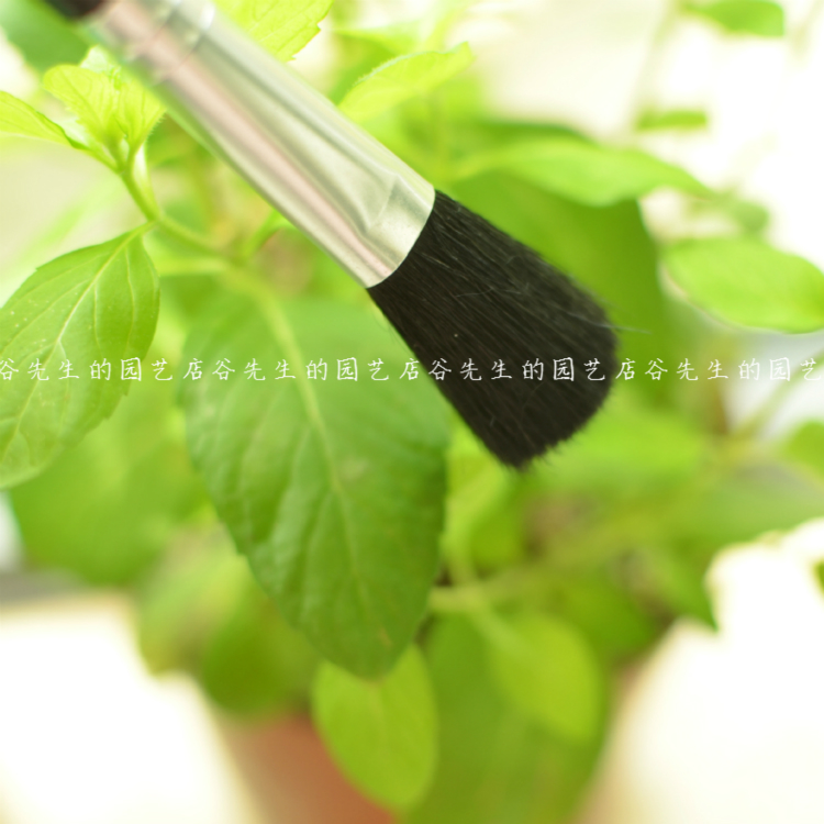 Thịt làm sạch bàn chải lá chổi quét bụi cây cọ đặc biệt bàn chải mềm bàn chải làm vườn cung cấp thịt công cụ bàn chải nhỏ dụng cụ làm vườn