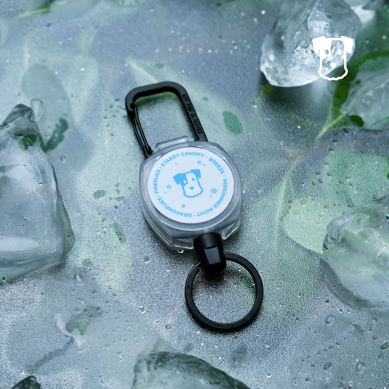 Ouoliving Retractable Easy-Pull Buckle for Camping, Travel, Hiking, Anti-Loss Work Id Card, Bus Card, Door Card, Keychain Ouoliving Retractable Easy-Pull Buckle for Camping, Travel, Hiking, Anti-Loss Work Id Card, Bus Card, Door Card, Keychain