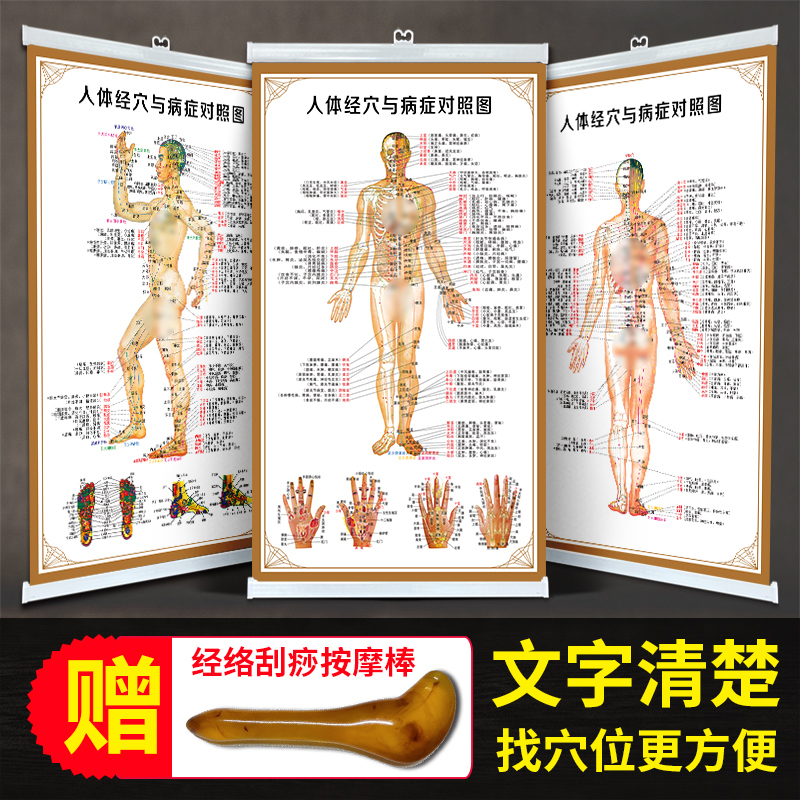 Human meridian acupuncture point diagram large wall chart standard HD acupuncture points Chinese medicine moxibustion massage acupuncture health poster