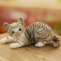 30 см серая линия лежа кошка