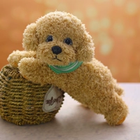 Mihuang Trumpet Scarf длиной 27 см