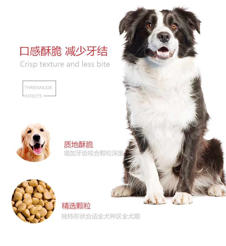 Thức ăn cho chó loại chung 10 kg Teddy Golden Mao Samoyed Bomei VIP 40 chú chó nhỏ chó con chó lớn trưởng thành 5kg - Chó Staples cám chó