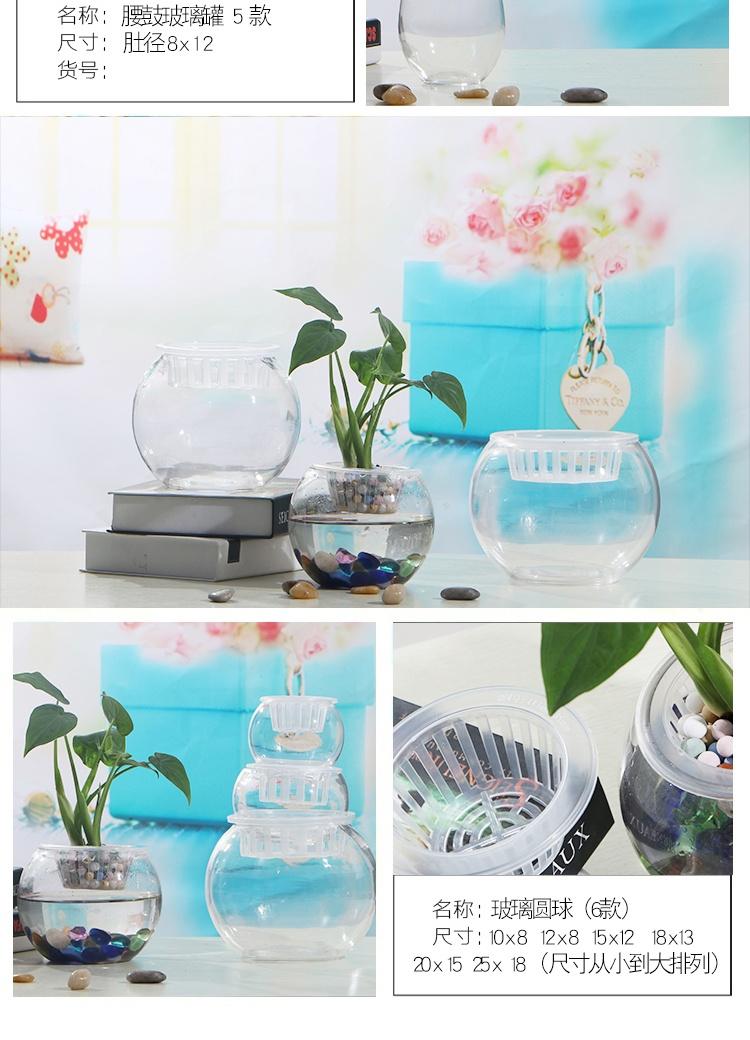 Bình thủy tinh - Vase / Bồn hoa & Kệ chậu trồng lan