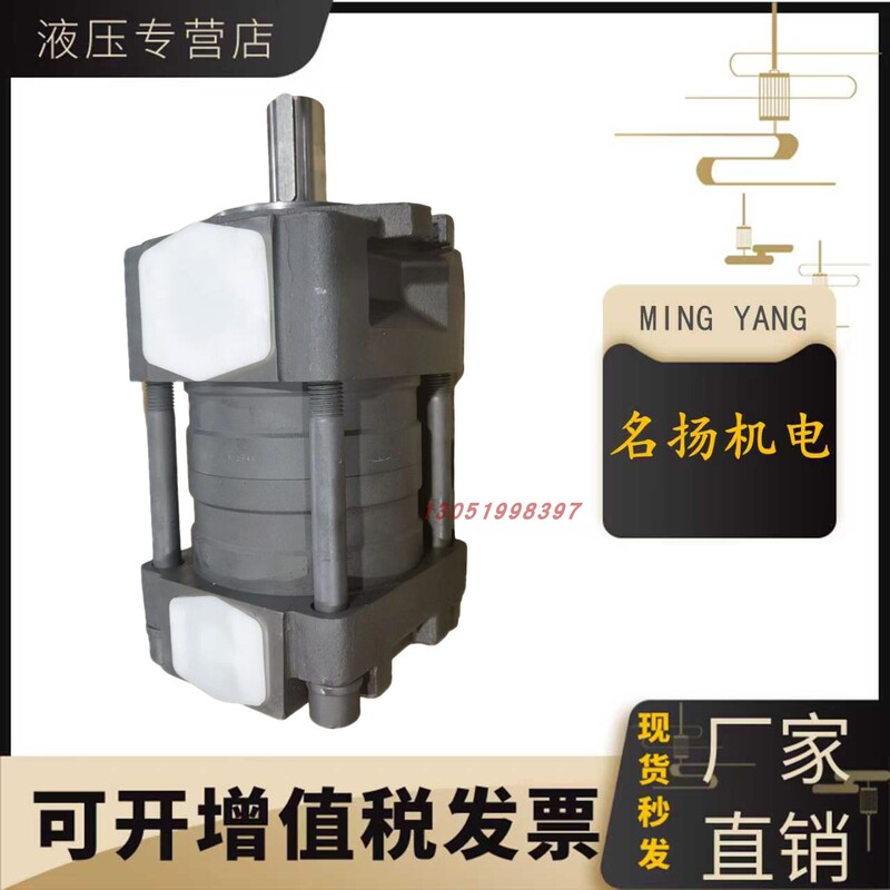 Japan Sumitomo Gear Oil Pump Qt23/32/33/42/43/Qt52/Qt53/Qt62/Qt63