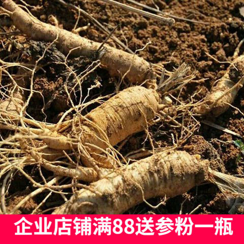 Freight supplement hyperlink