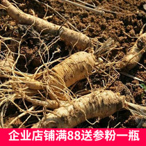 Shipping supplement link