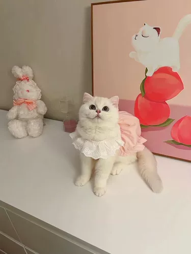 Милая летняя юбка для выхода на улицу, тонкий шнурок-держатель