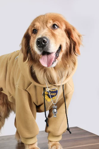 Нелиняющая зимняя одежда для самоедов, модная брендовая одежда для собак, зимняя теплая зимняя одежда для больших собак, золотистый ретривер, лабрадор