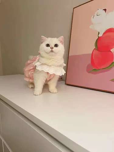 Милая летняя юбка для выхода на улицу, тонкий шнурок-держатель