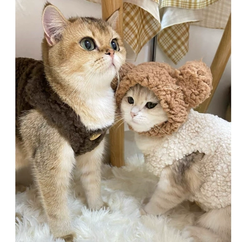 Удерживающий тепло демисезонный жилет, милый брендовый пуховик