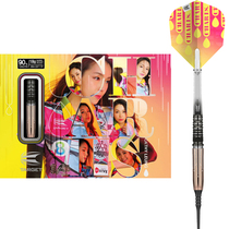 TARGET probe CATHY LEUNG 90% Liang Yuen 1DA 2BA soft professional tungsten steel darts 18 20g