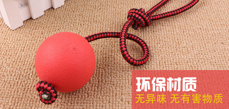 Dog Cat Golden Retriever Cao su cắn rắn Bouncy Ball Rope Bouncy Ball Đào tạo Đồ chơi thú cưng vui nhộn đồ chơi thú cưng