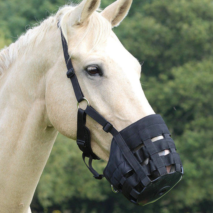Horse's mouth cover horse's mouth cover horse's mouth cover horse's mouth cover horse's eight-foot dragon harness BCL327803