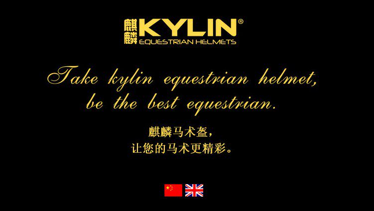 Article équitation BASLONG - Ref 1380953 Image 13