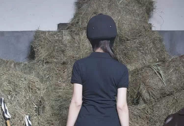 Article équitation BASLONG - Ref 1380953 Image 19