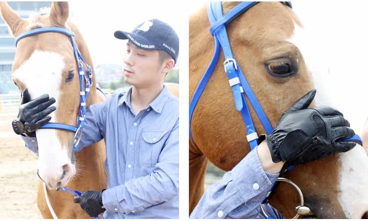 Article équitation - Ref 1381598 Image 20