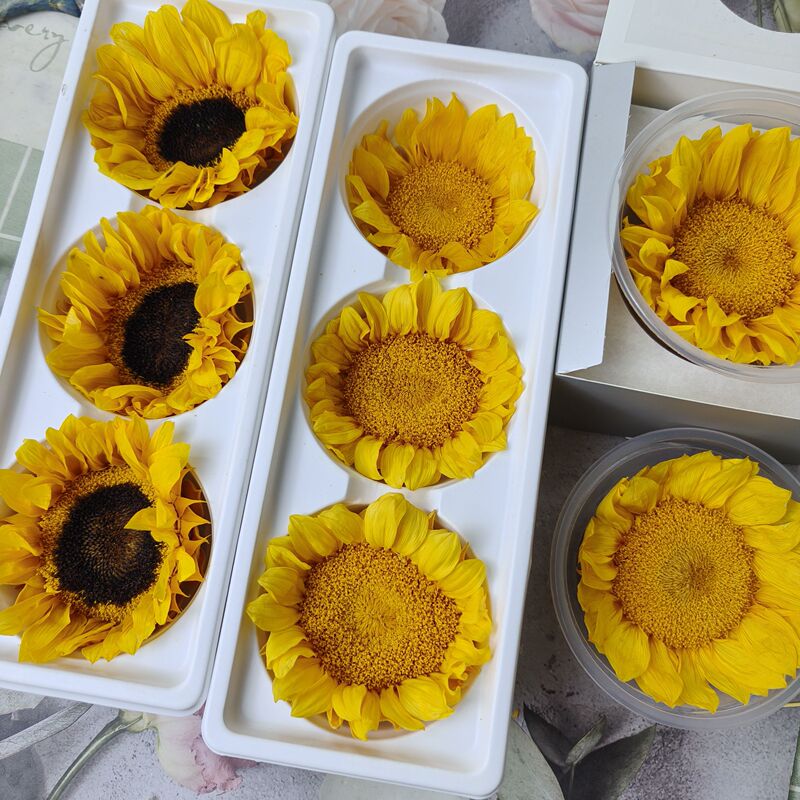 Eternal Flower Sunflower Teddy Sun's Eye Glass DIY Glass Dome Photo Frame Decorative Painting Ornament Real Flower Eternal Flower Sunflower Teddy Sun's Eye Glass DIY Glass Dome Photo Frame Decorative Painting Ornament Real Flower