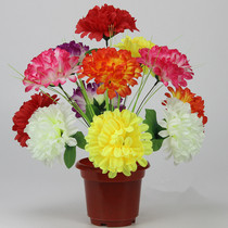 12 Dahlia color Qingming sacrifice simulation bouquet cheap silk flower flower props decoration daisies