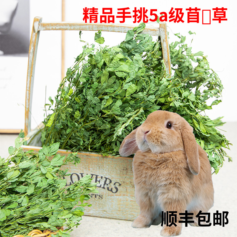 Fresh grass dried alfalfa grass rabbit totoro guinea pig rat grain hay Dutch pig pasture grain gross weight 1KG