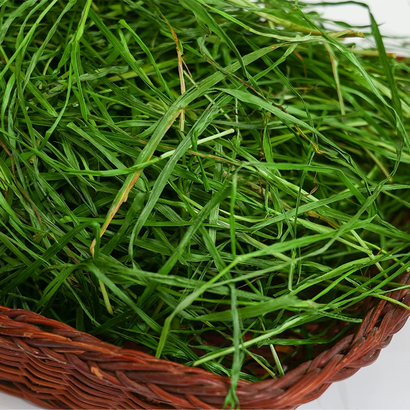 2024 Xincao сандая Plum Herdonan Rice Dry Tyosi Grass Bunny Totoro Donarnium Doninna 500 грамм