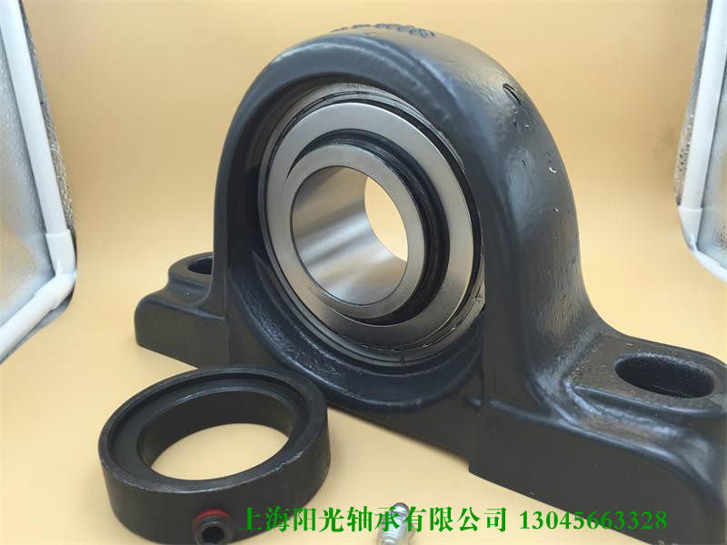FAFNIR Mounted bearing unit RAO2 3 16 Bearing model GN203KRRB Eccentric lock ring SN203K
