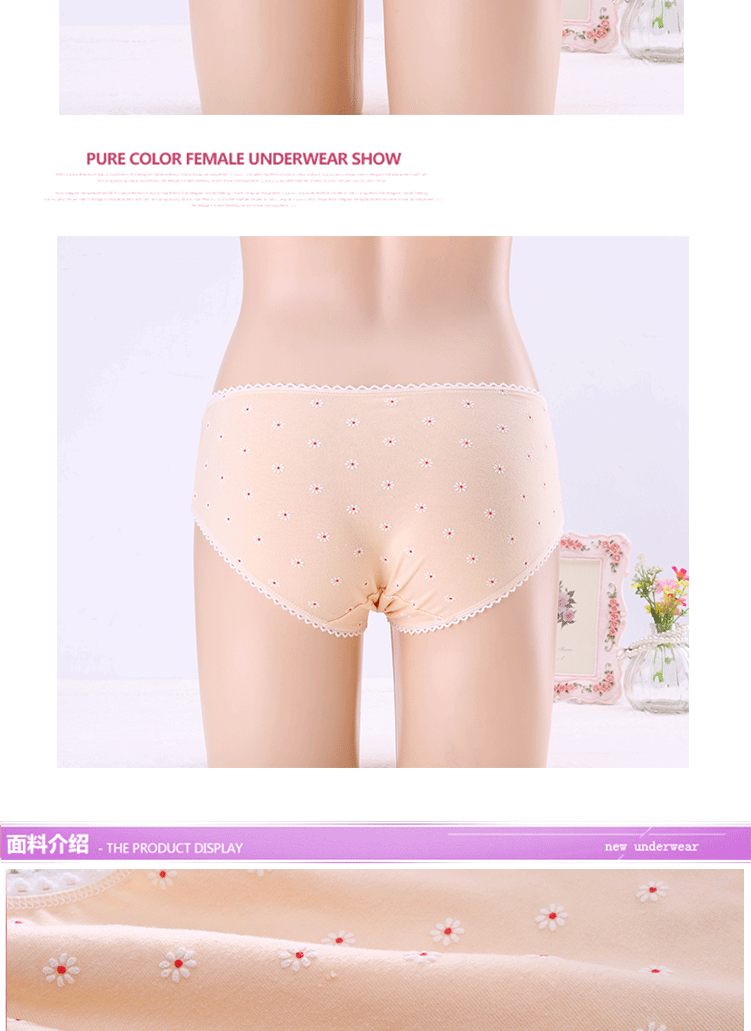 Slip jeunesse CS001 en coton - Ref 639976 Image 30