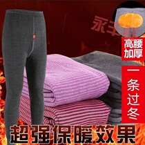 Winter Mens Womens high waist warm pants plus velvet padded knee pads waist cotton pants super elastic elderly leggings