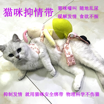 猫咪禁发情期绑带母猫专用抑制绝情欲闹猫叫绑带不伤猫公猫禁用