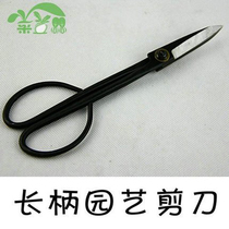 Horticulture Long Handle Scissors Foreign Trade Export Jintian Small Branches Cutting Tong Japan Imported Hand Wound Stainless Steel Whole Branches Cut