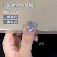 Холодный кот