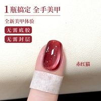 Красный кот