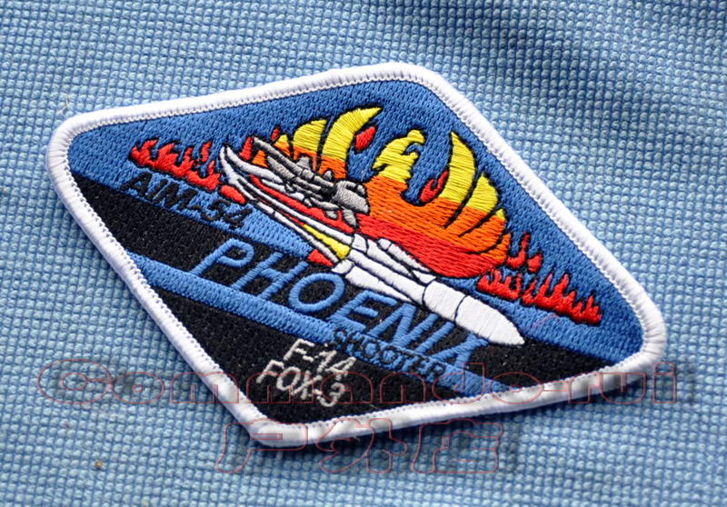 US Navy NAVY AIM-54 Not dead bird Phoenix Phoenix missile badges F-14 TOMCAT 