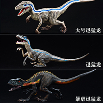 Simulation Velociraptor model dinosaur animal toy Plastic solid tyrannical Velociraptor Blu large childrens ornaments