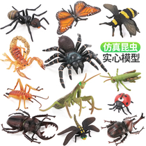 Simulation insect toy animal model Spider mantis butterfly lizard Scorpion ant ladybug Childrens cognitive set