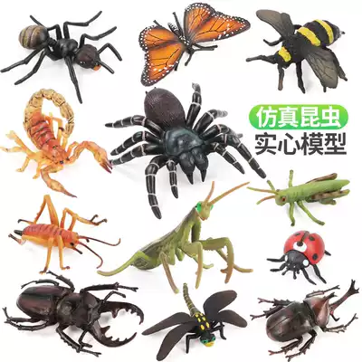 Simulation insect toy animal model Spider mantis Butterfly lizard Scorpion ant ladybird snake children's cognitive set