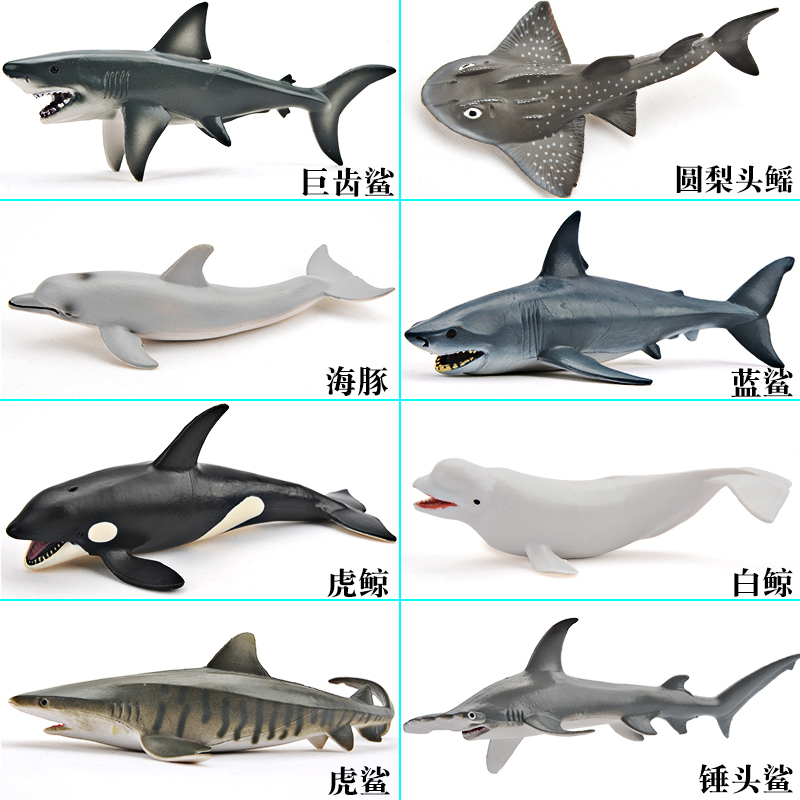 Simulated Marine Animal Toy Model Solid Sea Creature World Megalodon Orca Beluga Whale Kidsren's Set